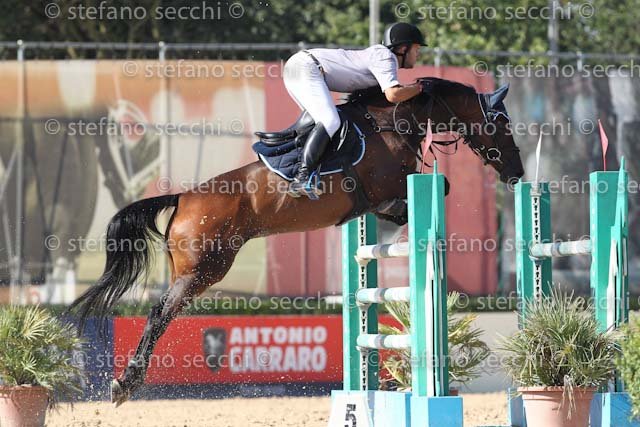 NICCOLAI_JOU JOU_ECC_2011_SS3_8427.jpg